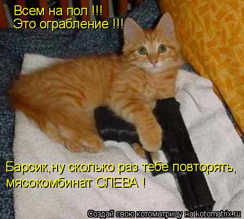 Всем на пол !!! Это ограбление !!! Барсик,ну сколько раз тебе повторять, мясокомбинат СЛЕВА !... Котоматрица: Всем на пол !!! Это ограбление !!! Барсик,ну сколько раз тебе повторять, мясокомбинат СЛЕВА !