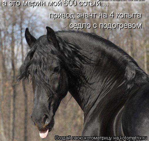 а это мерин мой 600 сотый.... привод значт на 4 копыта седло с подогревом... Котоматрица: а это мерин мой 600 сотый.... привод значт на 4 копыта седло с подогревом