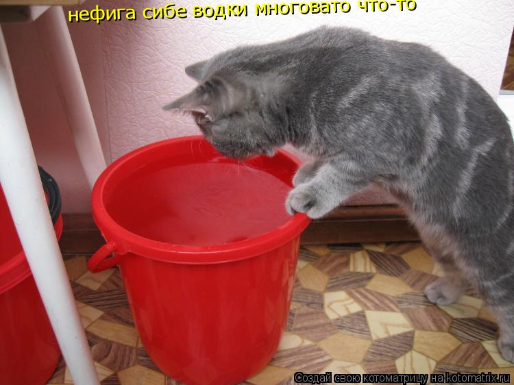 нефига сибе водки многовато что-то... Котоматрица: нефига сибе водки многовато что-то