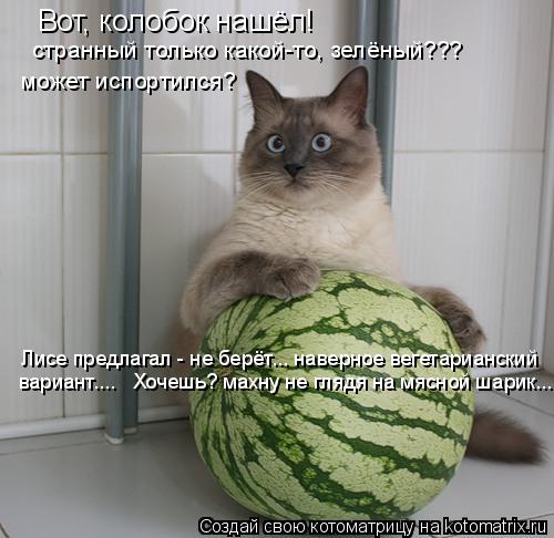 Вот, колобок нашёл! странный только какой-то, зелёный??? может испортился? Лисе предлагал - не берёт.... Котоматрица: Вот, колобок нашёл! странный только какой-то, зелёный??? может испортился? Лисе предлагал - не берёт... наверное вегетарианский вариант.... Хо