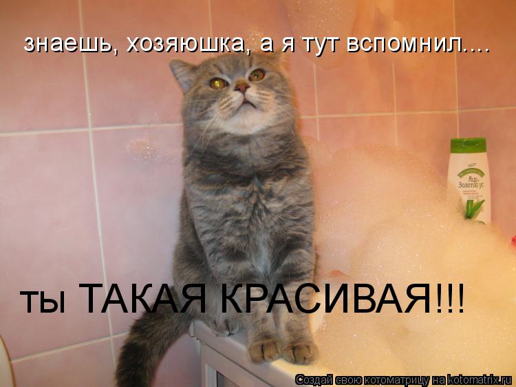 знаешь, хозяюшка, а я тут вспомнил.... ты ТАКАЯ КРАСИВАЯ!!!... Котоматрица: знаешь, хозяюшка, а я тут вспомнил.... ты ТАКАЯ КРАСИВАЯ!!!