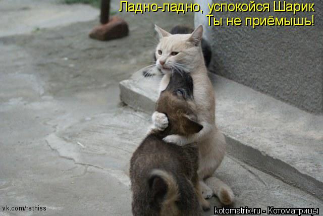 vk.com/rethiss Ладно-ладно, успокойся Шарик Ты не приёмышь!... Котоматрица: vk.com/rethiss Ладно-ладно, успокойся Шарик Ты не приёмышь!