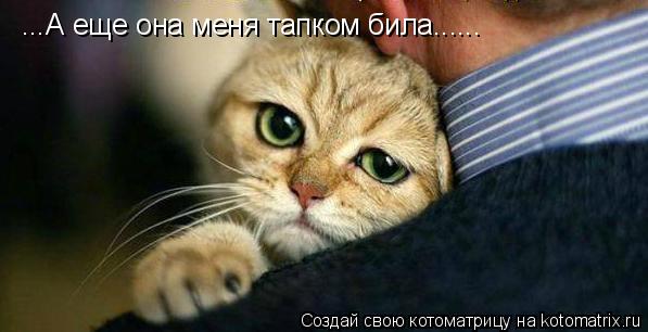 ...А еще она меня тапком била......... Котоматрица: ...А еще она меня тапком била......