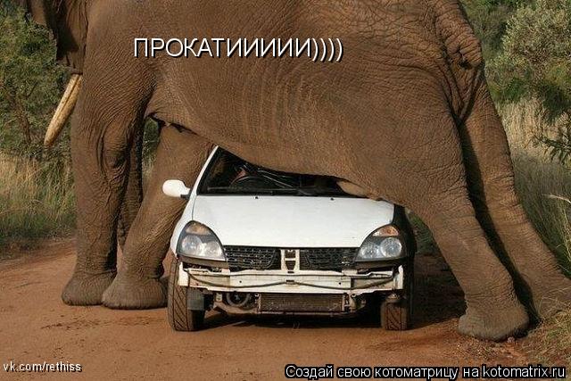 ПРОКАТИИИИИ)))) vk.com/rethiss... Котоматрица: ПРОКАТИИИИИ)))) vk.com/rethiss