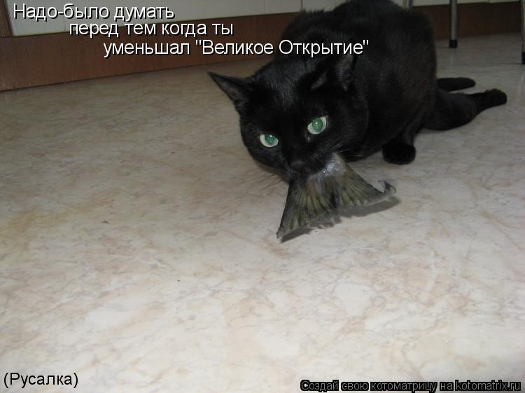 Надо-было думать перед тем когда ты уменьшал "Великое Открытие" (Русалка)... Котоматрица: Надо-было думать перед тем когда ты уменьшал "Великое Открытие" (Русалка)