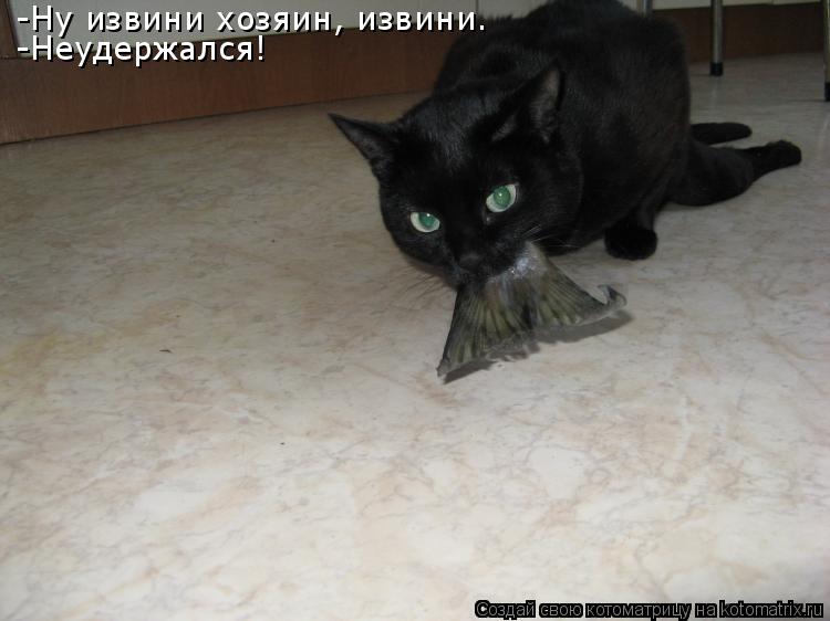 -Ну извини хозяин, извини. -Неудержался!... Котоматрица: -Ну извини хозяин, извини. -Неудержался!