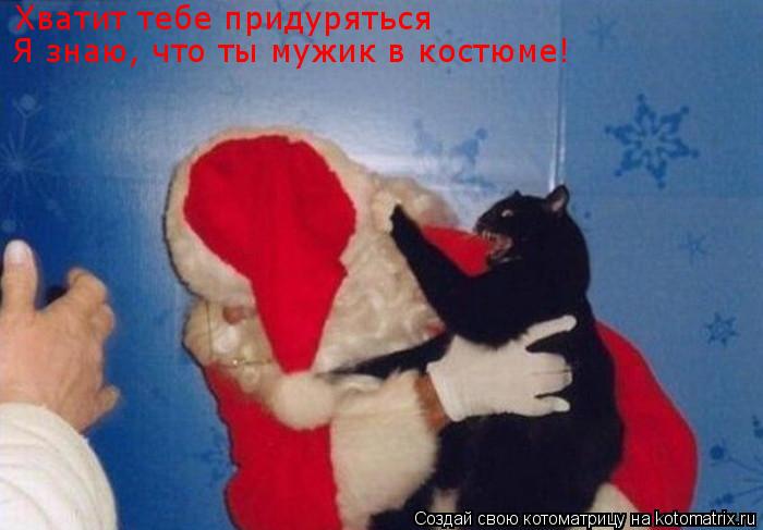 Хватит тебе придуряться Я знаю, что ты мужик в костюме!... Котоматрица: Хватит тебе придуряться Я знаю, что ты мужик в костюме!
