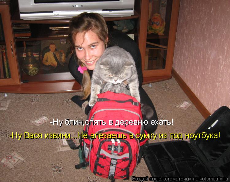 -Ну блин,опять в деревню ехать! -Ну уж Вася извини...Ты же не влезаешь в сумку из под ноутбука! -Ну В... Котоматрица: -Ну блин,опять в деревню ехать! -Ну уж Вася извини...Ты же не влезаешь в сумку из под ноутбука! -Ну Вася извини...Не влезаешь в сумку из под ноутб