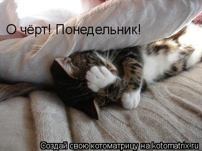 О чёрт! Понедельник!... Котоматрица: О чёрт! Понедельник!