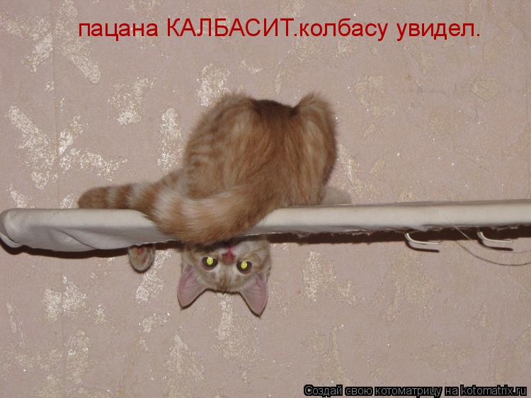 пацана КАЛБАСИТ.колбасу увидел.... Котоматрица: пацана КАЛБАСИТ.колбасу увидел.
