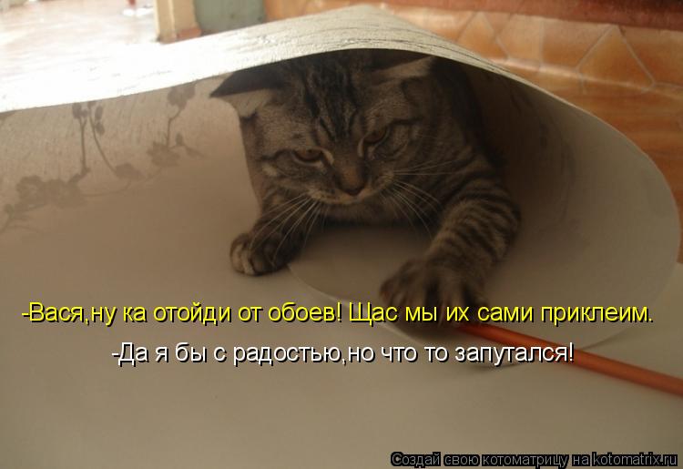 -Вася,ну ка отойди от обоев! Щас мы их сами приклеим. -Да я бы с радостью,но что то запутался!... Котоматрица: -Вася,ну ка отойди от обоев! Щас мы их сами приклеим. -Да я бы с радостью,но что то запутался!