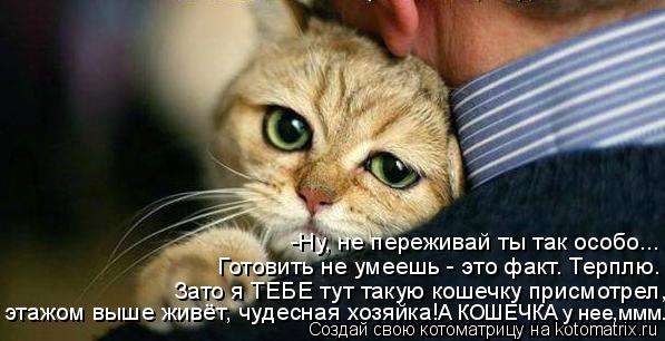 -Ну, не переживай ты так особо... Готовить не умеешь - это факт. Терплю. Зато я ТЕБЕ тут такую кошечк... Котоматрица: -Ну, не переживай ты так особо... Готовить не умеешь - это факт. Терплю. Зато я ТЕБЕ тут такую кошечку присмотрел, этажом выше живёт, чудесная х