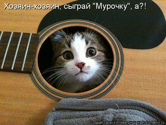 Хозяин-хозяин, сыграй "Мурочку", а?!... Котоматрица: Хозяин-хозяин, сыграй "Мурочку", а?!