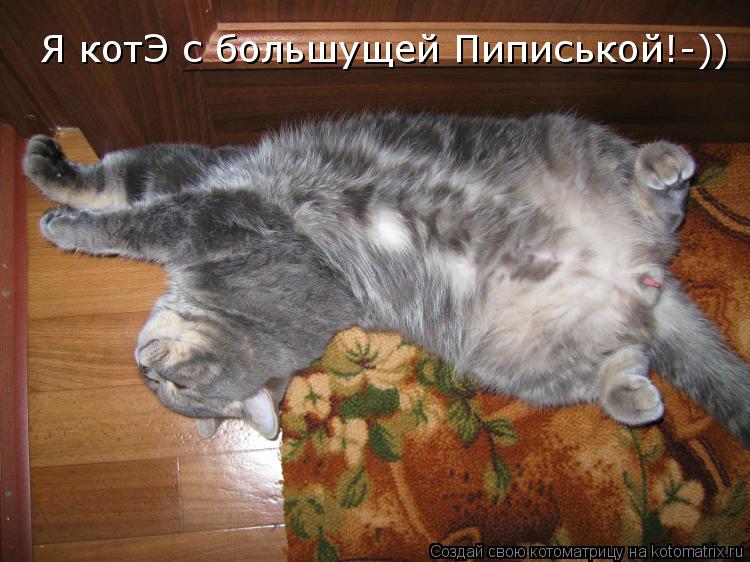 Котоматрица: Я котЭ с большущей Пиписькой!-))