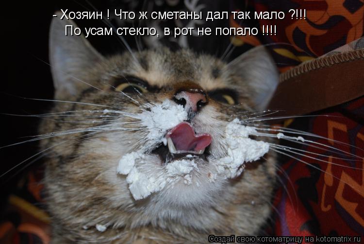 - Хозяин ! Что ж сметаны дал так мало ?!!! По усам стекло, в рот не попало !!!!... Котоматрица: - Хозяин ! Что ж сметаны дал так мало ?!!! По усам стекло, в рот не попало !!!!
