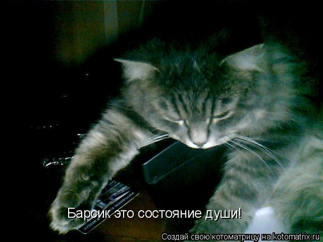 Барсик это состояние души!... Котоматрица: Барсик это состояние души!