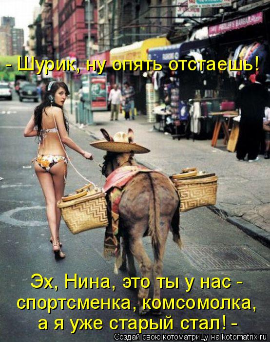 - Шурик, ну опять отстаешь! спортсменка, комсомолка, Эх, Нина, это ты у нас - а я уже старый стал! ... Котоматрица: - Шурик, ну опять отстаешь! спортсменка, комсомолка, Эх, Нина, это ты у нас - а я уже старый стал! -