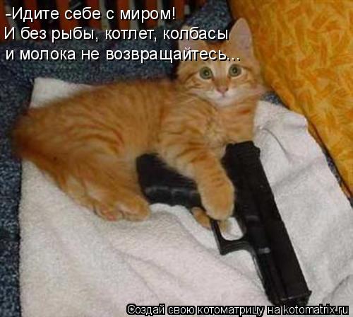-Идите себе с миром! И без рыбы, котлет, колбасы и молока не возвращайтесь...... Котоматрица: -Идите себе с миром! И без рыбы, котлет, колбасы и молока не возвращайтесь...