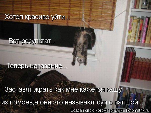 Хотел красиво уйти... Вот результат... Теперь наказание... Заставят жрать как мне кажется кашу из по... Котоматрица: Хотел красиво уйти... Вот результат... Теперь наказание... Заставят жрать как мне кажется кашу из помоев,а они это называют суп с лапшой...
