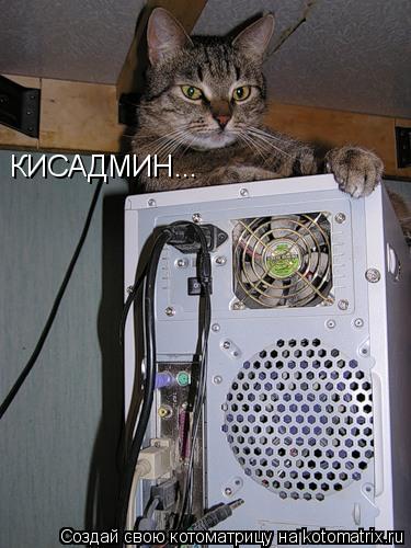 КИСАДМИН...... Котоматрица: КИСАДМИН...