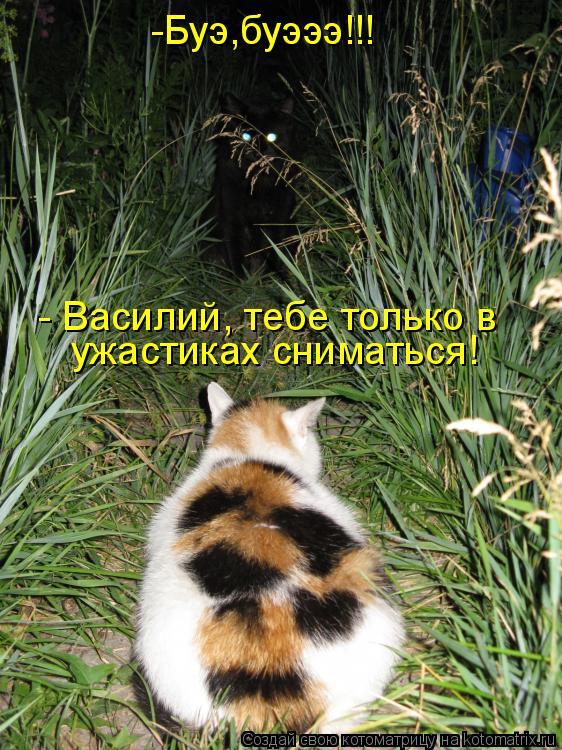 - Василий, тебе только в ужастиках сниматься! -Буэ,буэээ!!!... Котоматрица: - Василий, тебе только в ужастиках сниматься! -Буэ,буэээ!!!