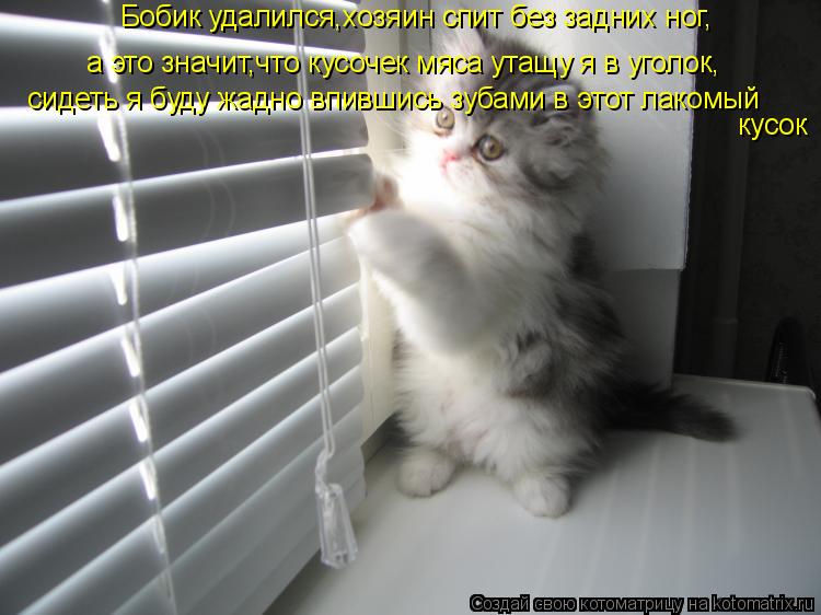 Бобик удалился,хозяин спит без задних ног, а это значит,что кусочек мяса утащу я в уголок, сидеть я б... Котоматрица: Бобик удалился,хозяин спит без задних ног, а это значит,что кусочек мяса утащу я в уголок, сидеть я буду жадно впившись зубами в этот лакомый