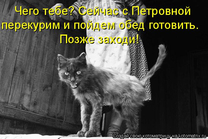Чего тебе? Сейчас с Петровной перекурим и пойдем обед готовить. Позже заходи!... Котоматрица: Чего тебе? Сейчас с Петровной перекурим и пойдем обед готовить. Позже заходи!