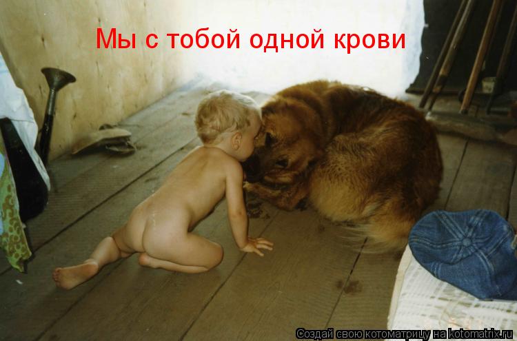 Мы с тобой одной крови... Котоматрица: Мы с тобой одной крови