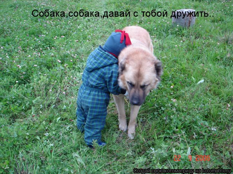 Собака,собака,давай с тобой дружить..... Котоматрица: Собака,собака,давай с тобой дружить..