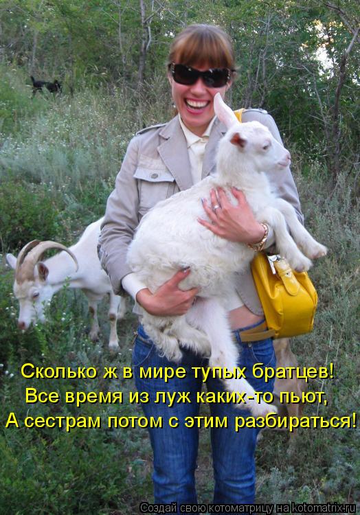 Сколько ж в мире тупых братцев! Все время из луж каких-то пьют, А сестрам потом с этим разбираться!... Котоматрица: Сколько ж в мире тупых братцев! Все время из луж каких-то пьют, А сестрам потом с этим разбираться!