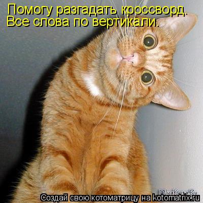 Помогу разгадать кроссворд. Все слова по вертикали.... Котоматрица: Помогу разгадать кроссворд. Все слова по вертикали.