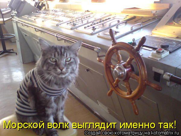 Морской волк выглядит именно так!... Котоматрица: Морской волк выглядит именно так!