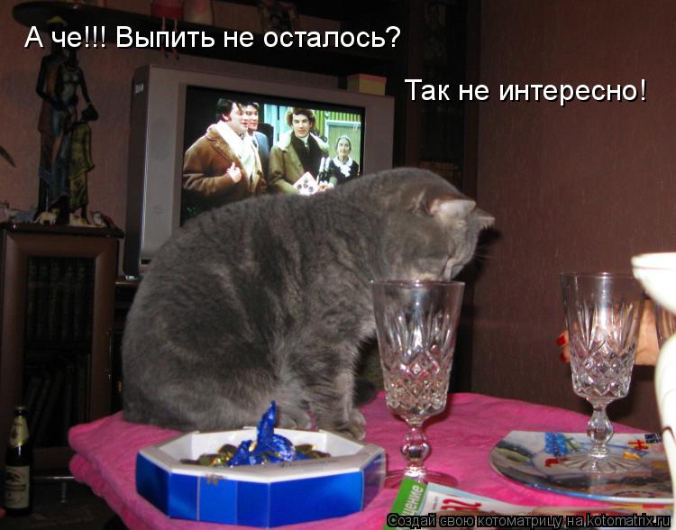 А че!!! Выпить не осталось? Так не интересно!... Котоматрица: А че!!! Выпить не осталось? Так не интересно!