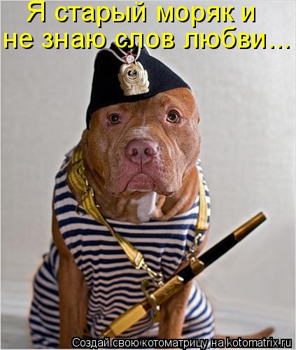 Я старый моряк и не знаю слов любви...... Котоматрица: Я старый моряк и не знаю слов любви...