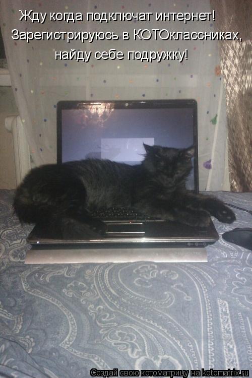Котоматрица: Жду когда подключат интернет! Зарегистрируюсь в КОТОклассниках,  найду себе подружку!