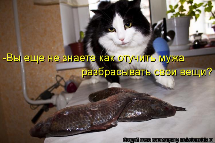 Котоматрица: -Вы еще не знаете как отучить мужа разбрасывать свои вещи?