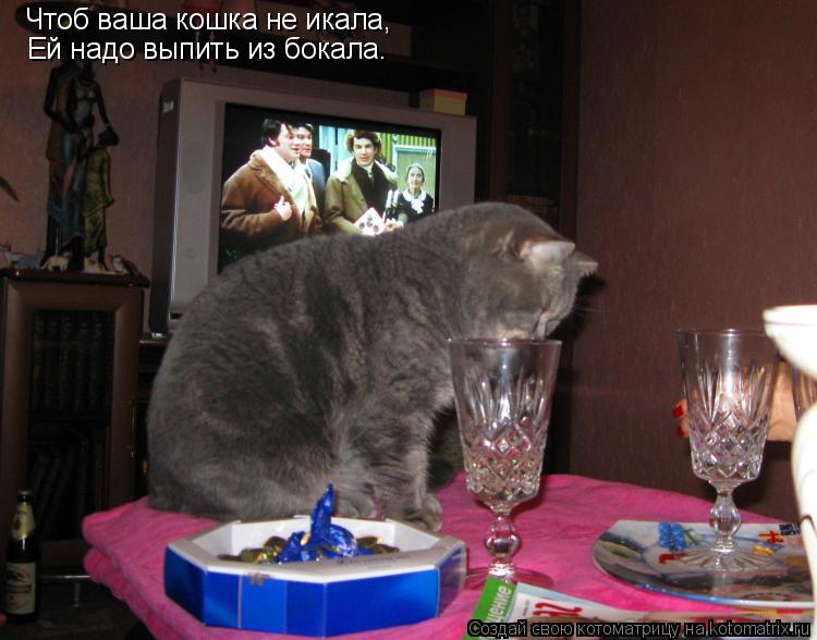 Котоматрица: Чтоб ваша кошка не икала, Ей надо выпить из бокала.