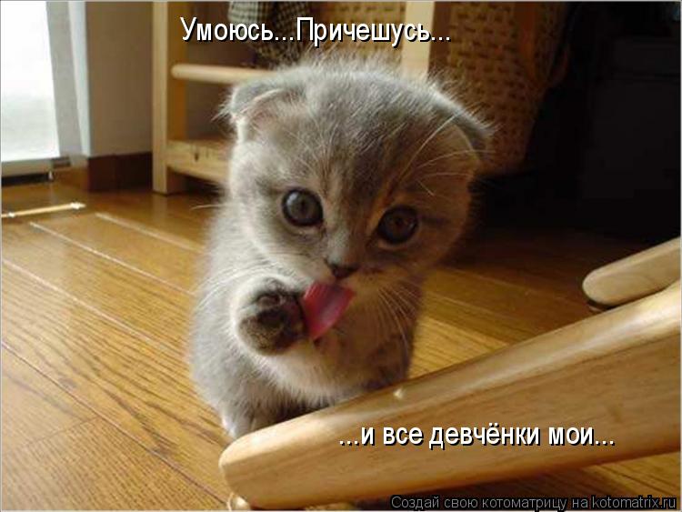 Котоматрица: Умоюсь...Причешусь... ...и все девчёнки мои...