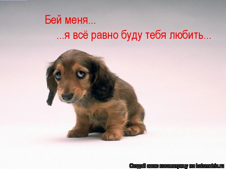 Бей меня... ...я всё равно буду тебя любить...... Котоматрица: Бей меня... ...я всё равно буду тебя любить...