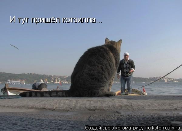 И тут пришёл котзилла...... Котоматрица: И тут пришёл котзилла...
