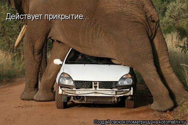 Действует прикрытие...... Котоматрица: Действует прикрытие...