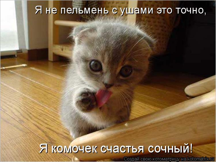 Я не пельмень с ушами это точно, Я комочек счастья сочный!... Котоматрица: Я не пельмень с ушами это точно, Я комочек счастья сочный!