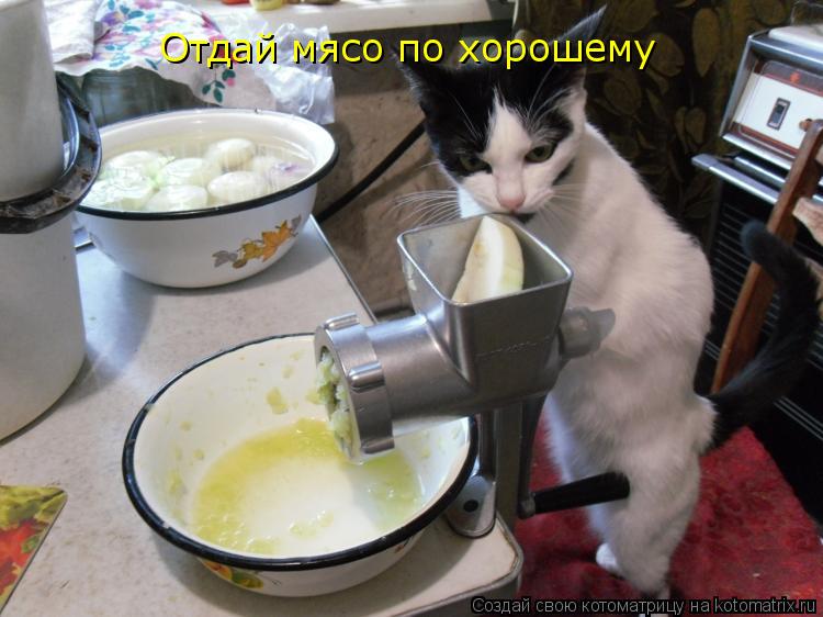 Отдай мясо по хорошему... Котоматрица: Отдай мясо по хорошему