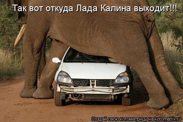 Так вот откуда Лада Калина выходит!!!... Котоматрица: Так вот откуда Лада Калина выходит!!!