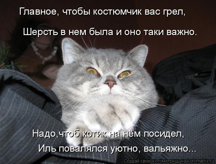 Котоматрица: Главное, чтобы костюмчик вас грел, Шерсть в нем была и оно таки важно. Надо,чтоб котик на нём посидел, Иль повалялся уютно, вальяжно...