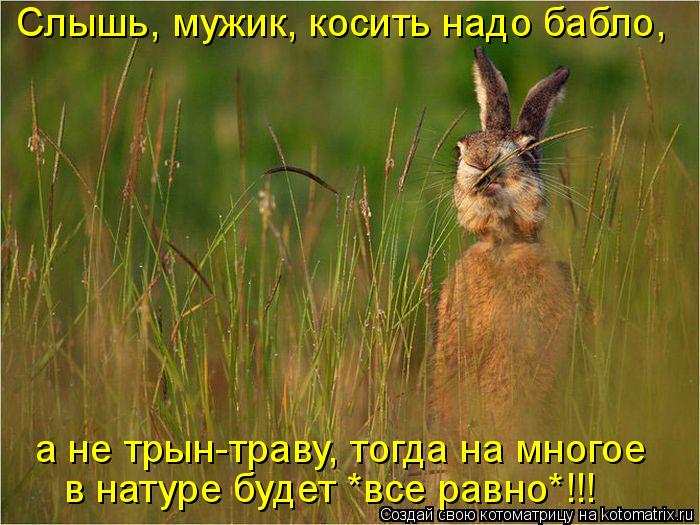 Слышь, мужик, косить надо бабло, а не трын-траву, тогда на многое в натуре будет *все равно*!!!... Котоматрица: Слышь, мужик, косить надо бабло, а не трын-траву, тогда на многое в натуре будет *все равно*!!!