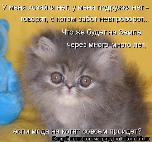 У меня хозяйки нет, у меня подружки нет - говорят, с котом забот невпроворот... Что же будет на Земл... Котоматрица: У меня хозяйки нет, у меня подружки нет - говорят, с котом забот невпроворот... Что же будет на Земле через много-много лет, если мода на котя
