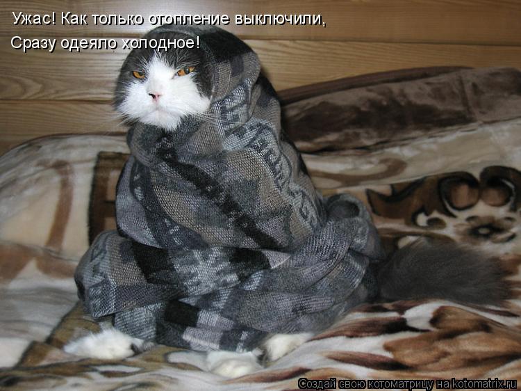 Ужас! Как только отопление выключили, Сразу одеяло холодное!... Котоматрица: Ужас! Как только отопление выключили, Сразу одеяло холодное!