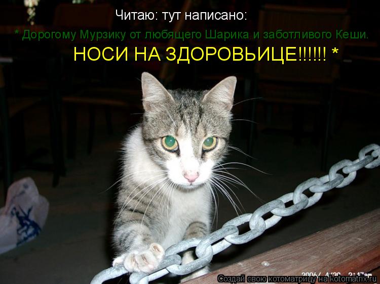 Читаю: тут написано: * Дорогому Мурзику от любящего Шарика и заботливого Кеши. НОСИ НА ЗДОРОВЬИЦЕ!!!!... Котоматрица: Читаю: тут написано: * Дорогому Мурзику от любящего Шарика и заботливого Кеши. НОСИ НА ЗДОРОВЬИЦЕ!!!!!! *