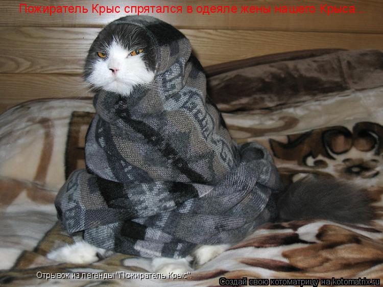 Пожиратель Крыс спрятался в одеяле жены нашего Крыса... Отрывок из легенды "Пожиратель Крыс".... Котоматрица: Пожиратель Крыс спрятался в одеяле жены нашего Крыса... Отрывок из легенды "Пожиратель Крыс".
